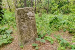 Трахтемировский полуостров, экскурсия